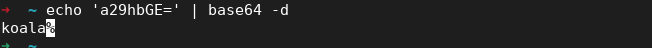 Terminal showing base64 decode of the pic parameter value